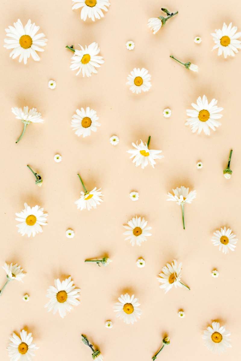 Unique Spring Wallpapers For Your iPhone – 2024 - sydney domanski